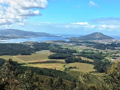 terras gauda o rosal
