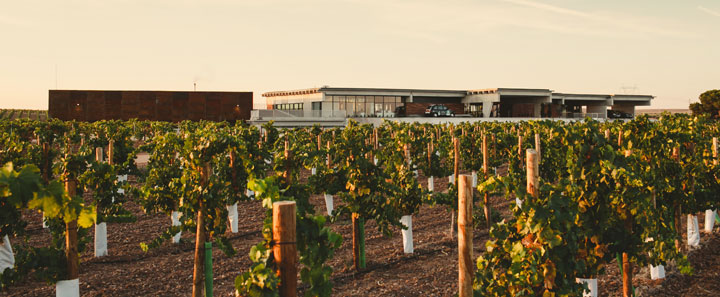 bodegas beronia edificio