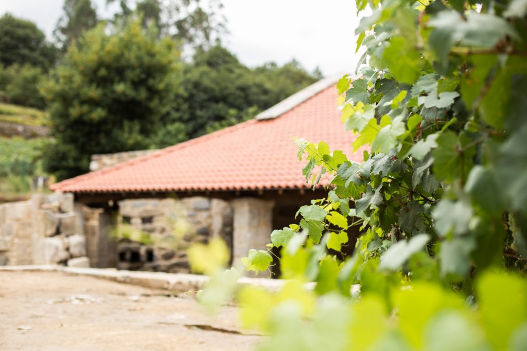 Bodega Pazo de Toubes ribeiro